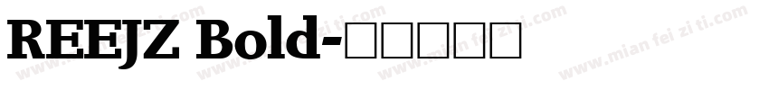 REEJZ Bold字体转换